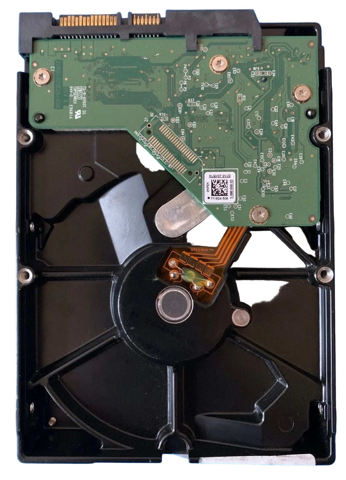 WD10EZEX-00RKKA0 – 2060-771824-506 Rev A – EHRNKV2MH – Date: 20 JUN 2012 – 1TB – 3.5" – SATA